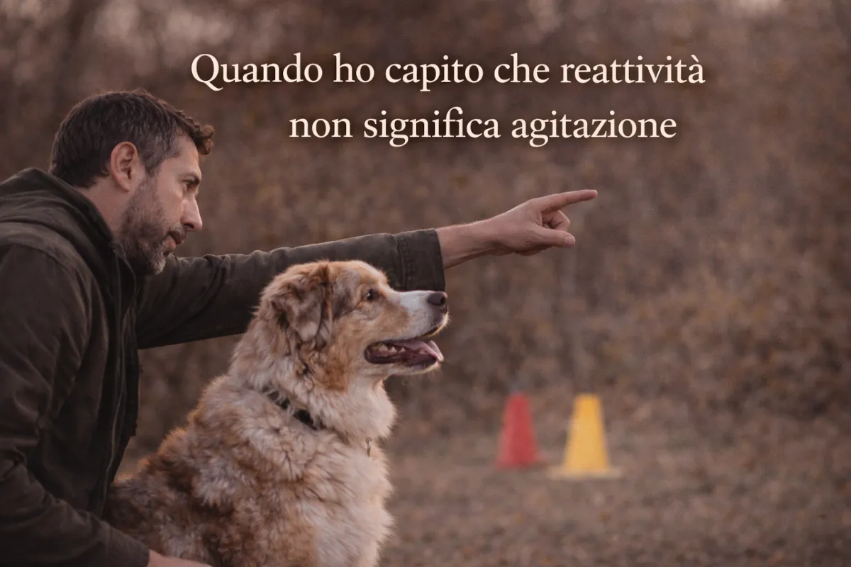 Un Pastore Australiano red merle osserva attentamente l’ambiente mentre il proprietario indica un punto nello spazio, rappresentando la capacità del cane di essere reattivo senza essere agitato.