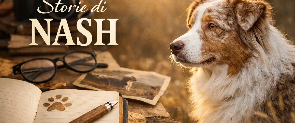 Un Pastore Australiano red merle osserva il paesaggio al tramonto accanto a un quaderno aperto con appunti e impronta, simbolo di un diario di esperienze e osservazioni sulla vita quotidiana con un Aussie.