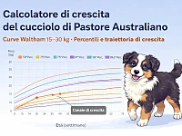 Infografica illustrativa del calcolatore di crescita del cucciolo di Pastore Australiano: mostra le curve di crescita Waltham (15–30 kg), i percentili di riferimento e l’esempio di una traiettoria reale, utile per interpretare correttamente l’andamento del peso nel tempo.